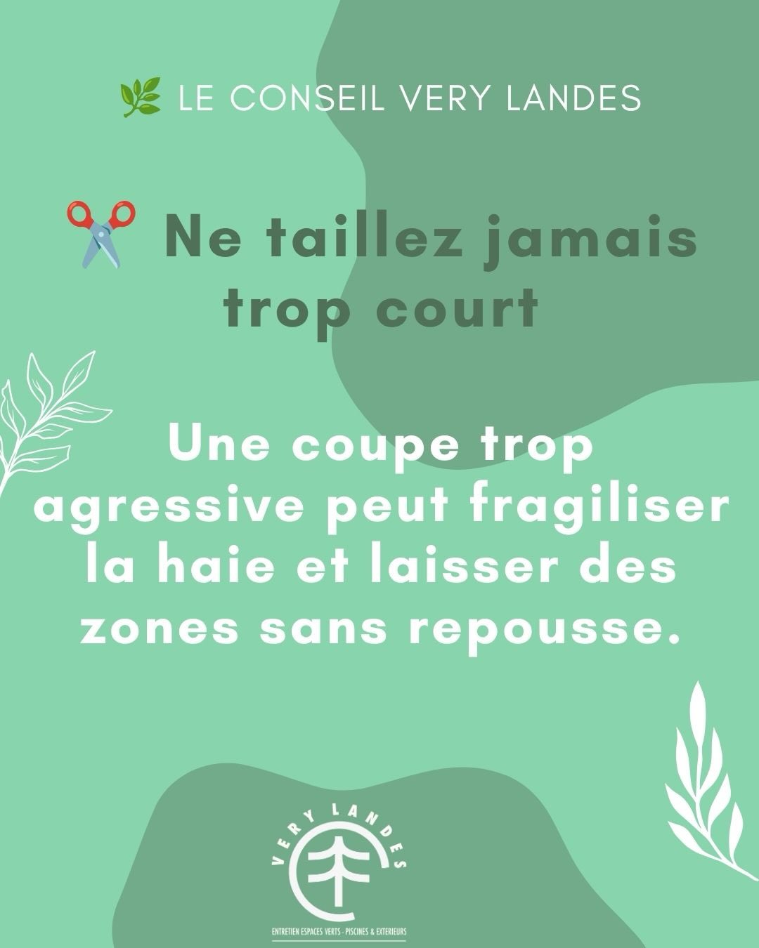 Bien Tailler ses haies: les erreurs à éviter.